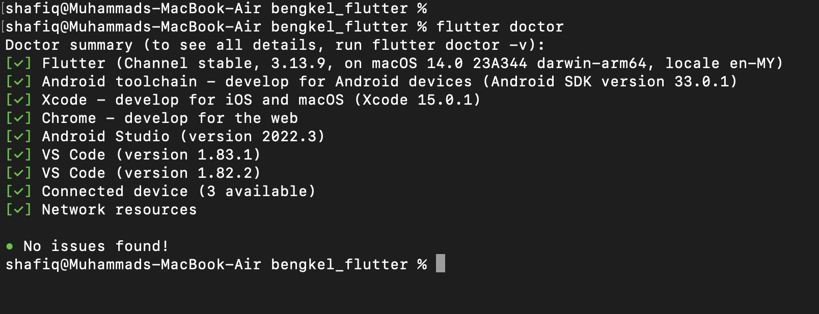 Flutter Doctor Screenshot
